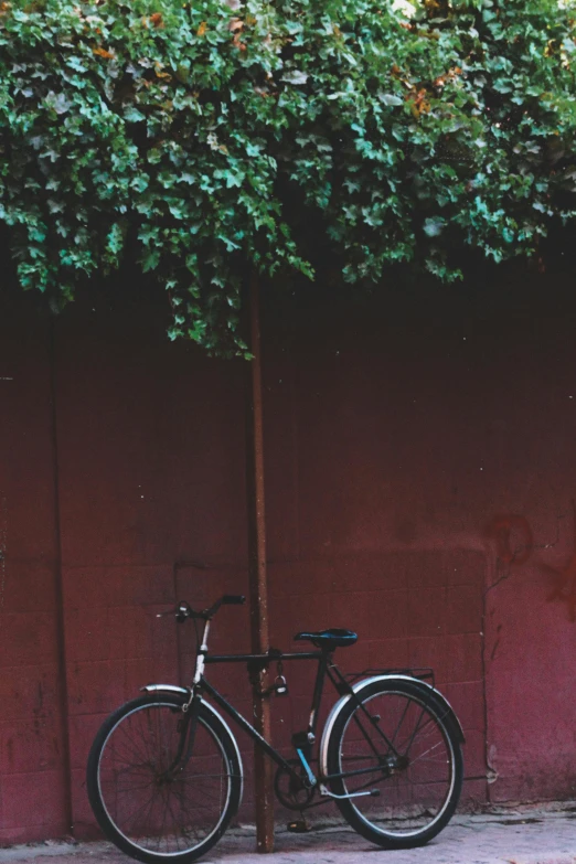 a bike parked next to a tree outside of a building