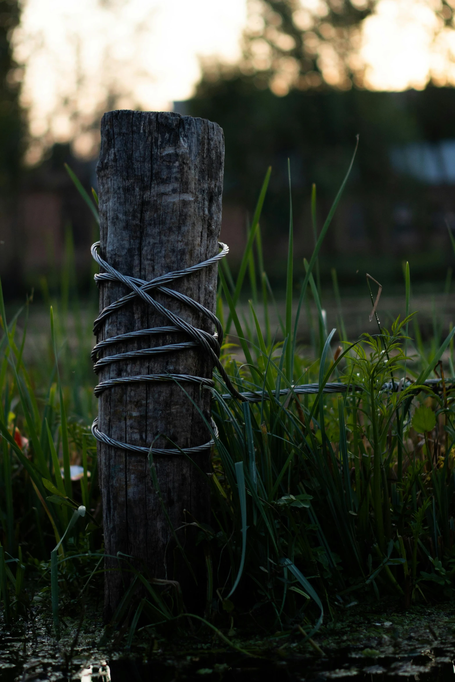 a rope on a pole by some water