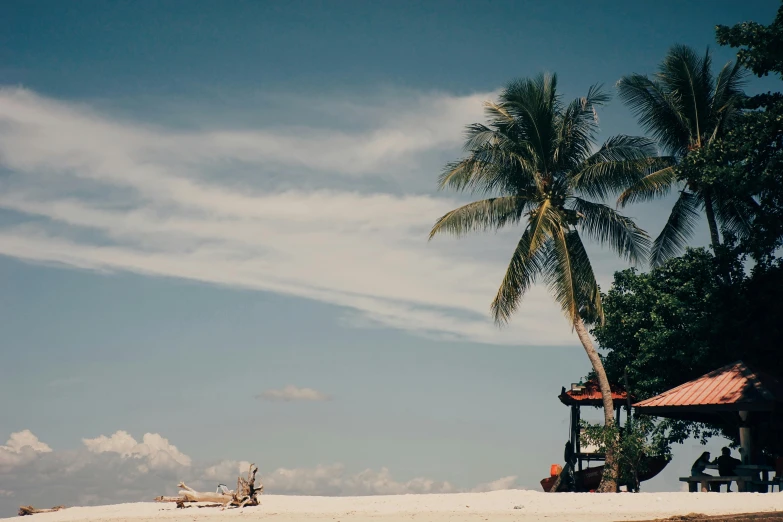 a beach with a boat sitting next to a palm tree