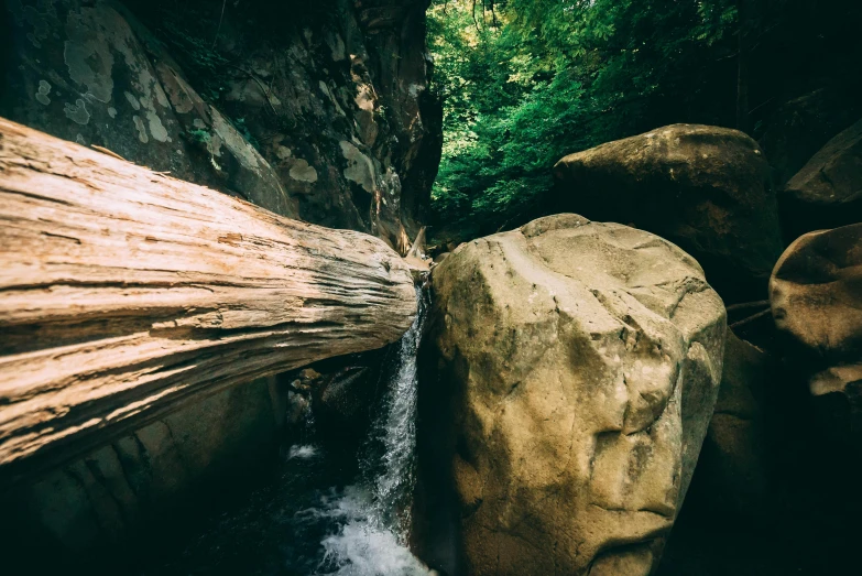 a stream runs down between large rocks and trees