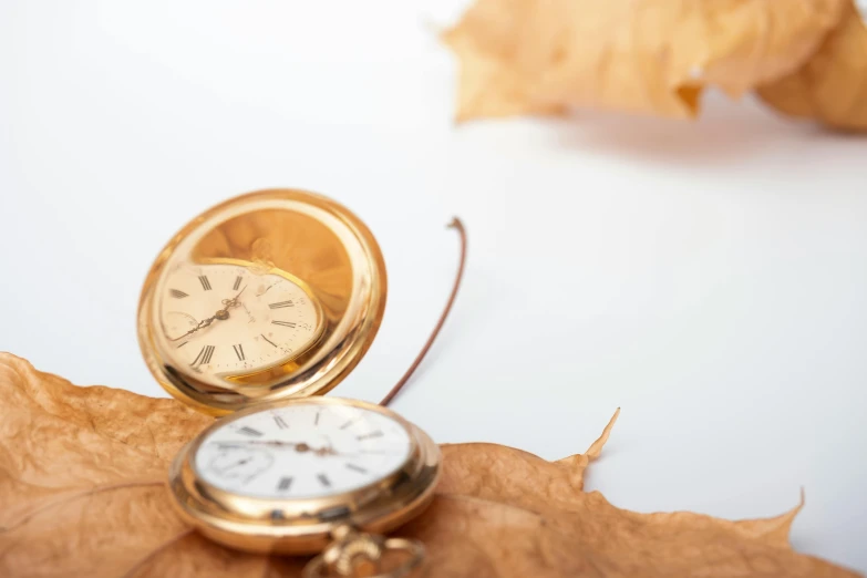 a small pocket watch on a leaf and another on the ground