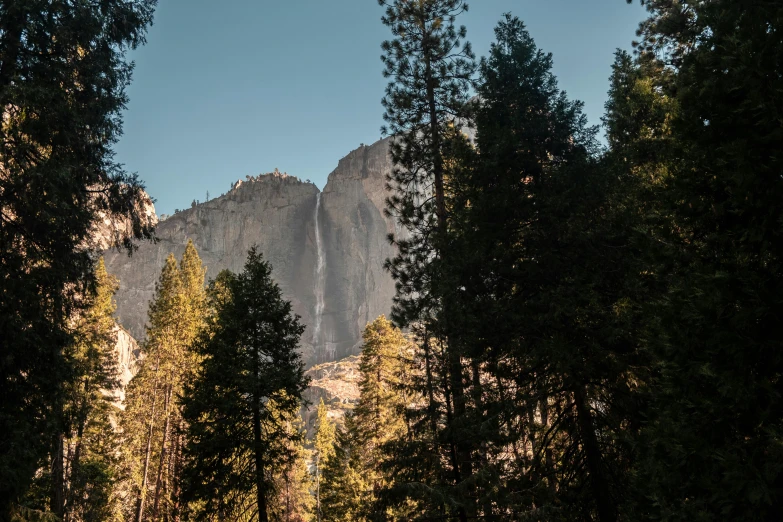 some trees with a mountain in the background