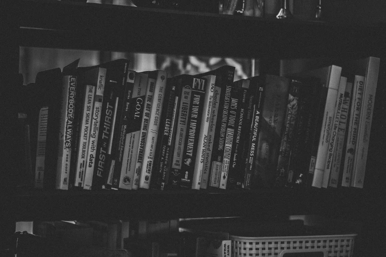 a black and white po shows a shelf with several books
