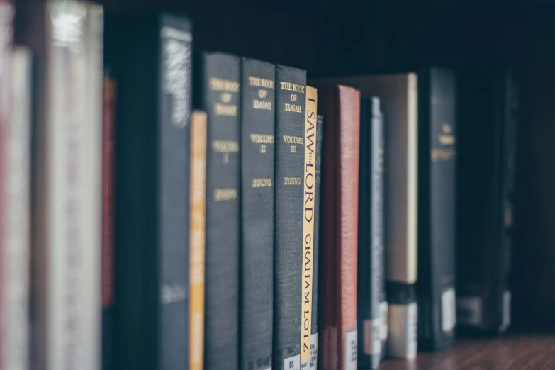 row of books on top of wooden shelf