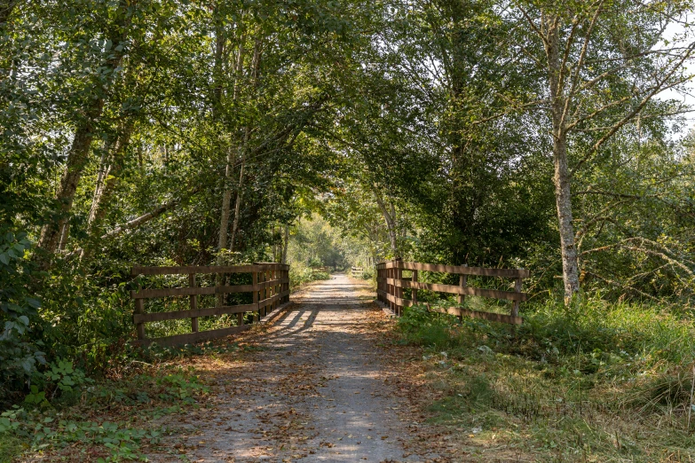 an open road leading through to a park