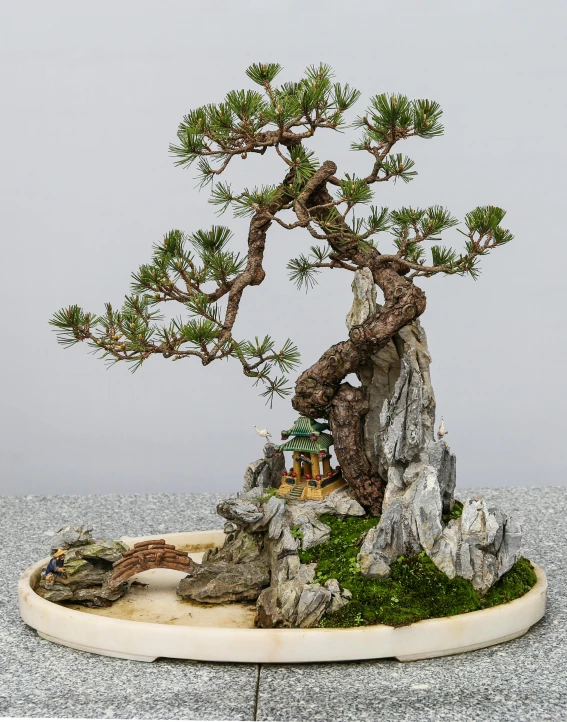 a bonsai tree is seen here with other miniature people in a rock garden