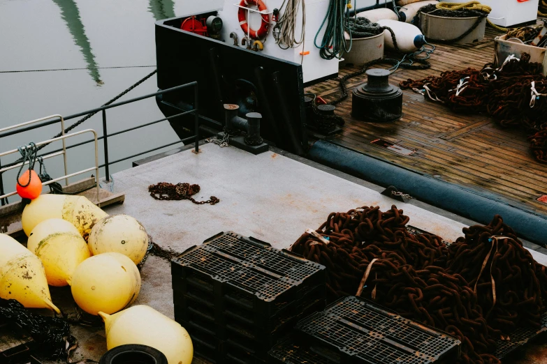 a group of bananas and other fruit being sorted up on a boat