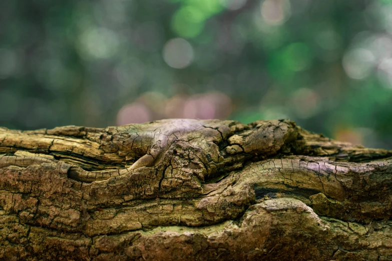 a small bird perched on top of a tree trunk