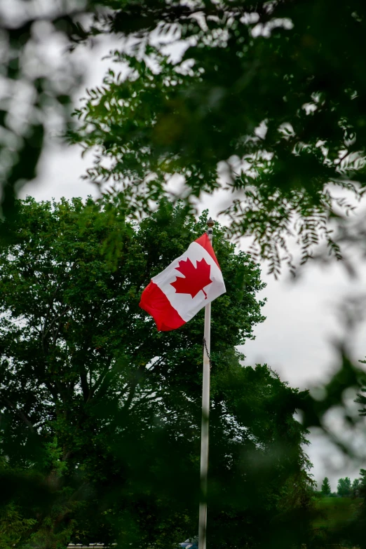 the canadian flag is displayed in the distance