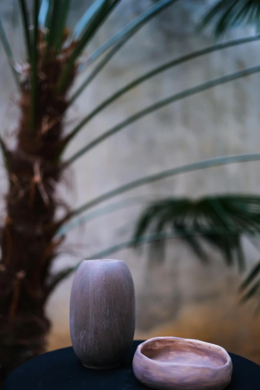 a plant is sitting in front of a grey ceramic vase