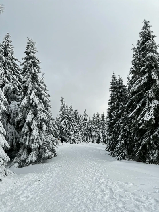 a snowy ski slope surrounded by trees on a cloudy day