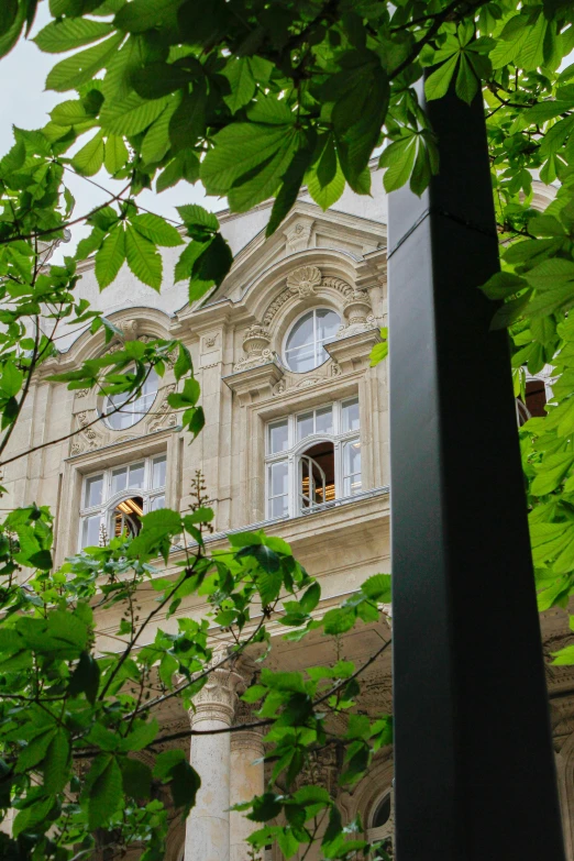 a street sign near a building with green leaves