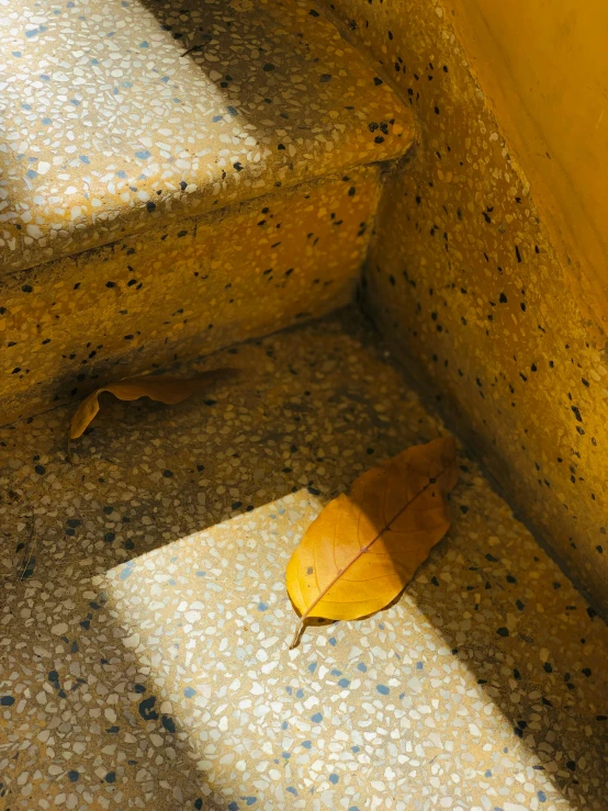 a yellow leaf on the floor of a yellow steps