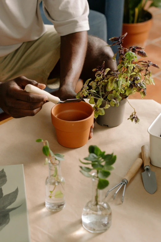 a man tending to some plant life inside small clear vases