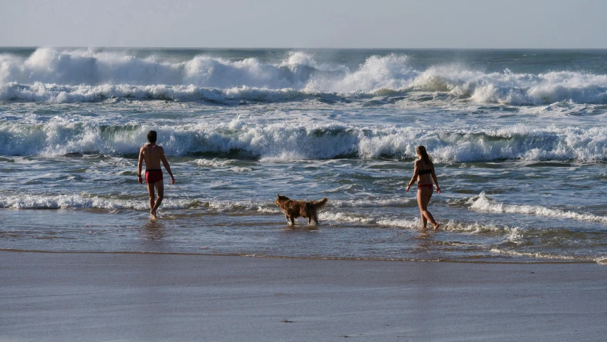 a man and a woman walking on top of a beach next to the ocean