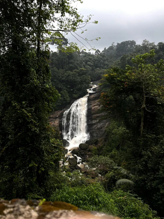 a waterfall seen from the bottom is surrounded by lush green trees