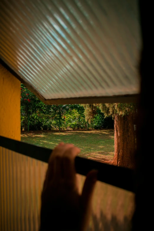 hand holding camera behind glass looking outside at small green yard