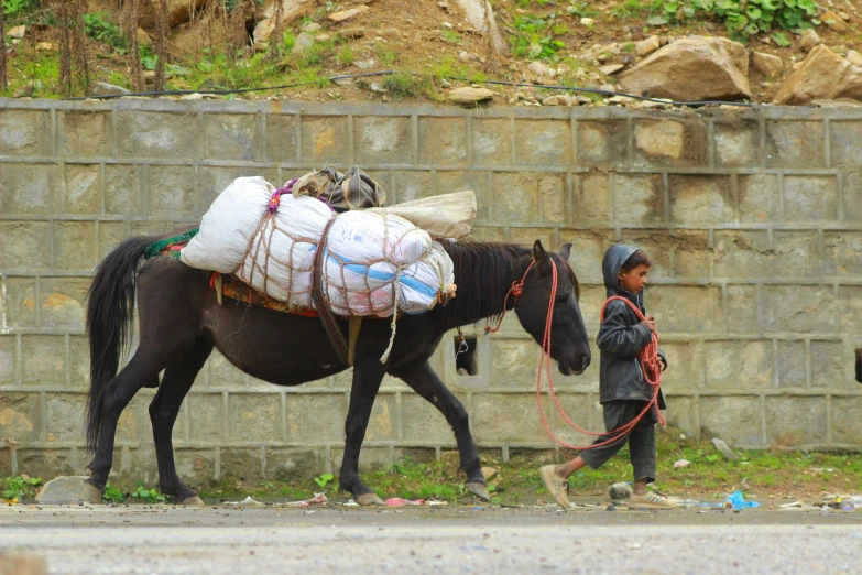 an older man walks his horse down the street