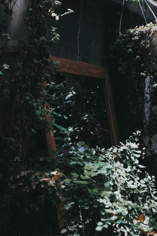 a very tall wooden mirror sitting in the grass