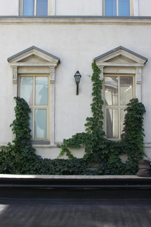 the building is decorated with ivy and windows