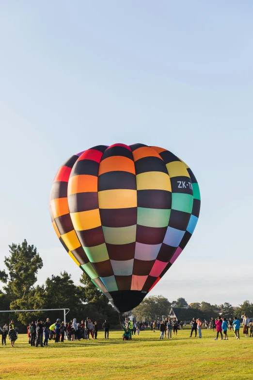 people in grassy field flying balloons with sky background