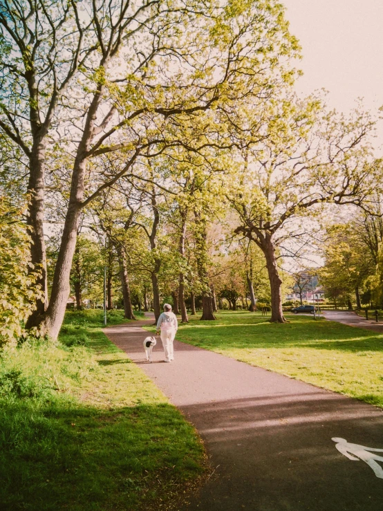 woman walking her dog down a pathway through a park