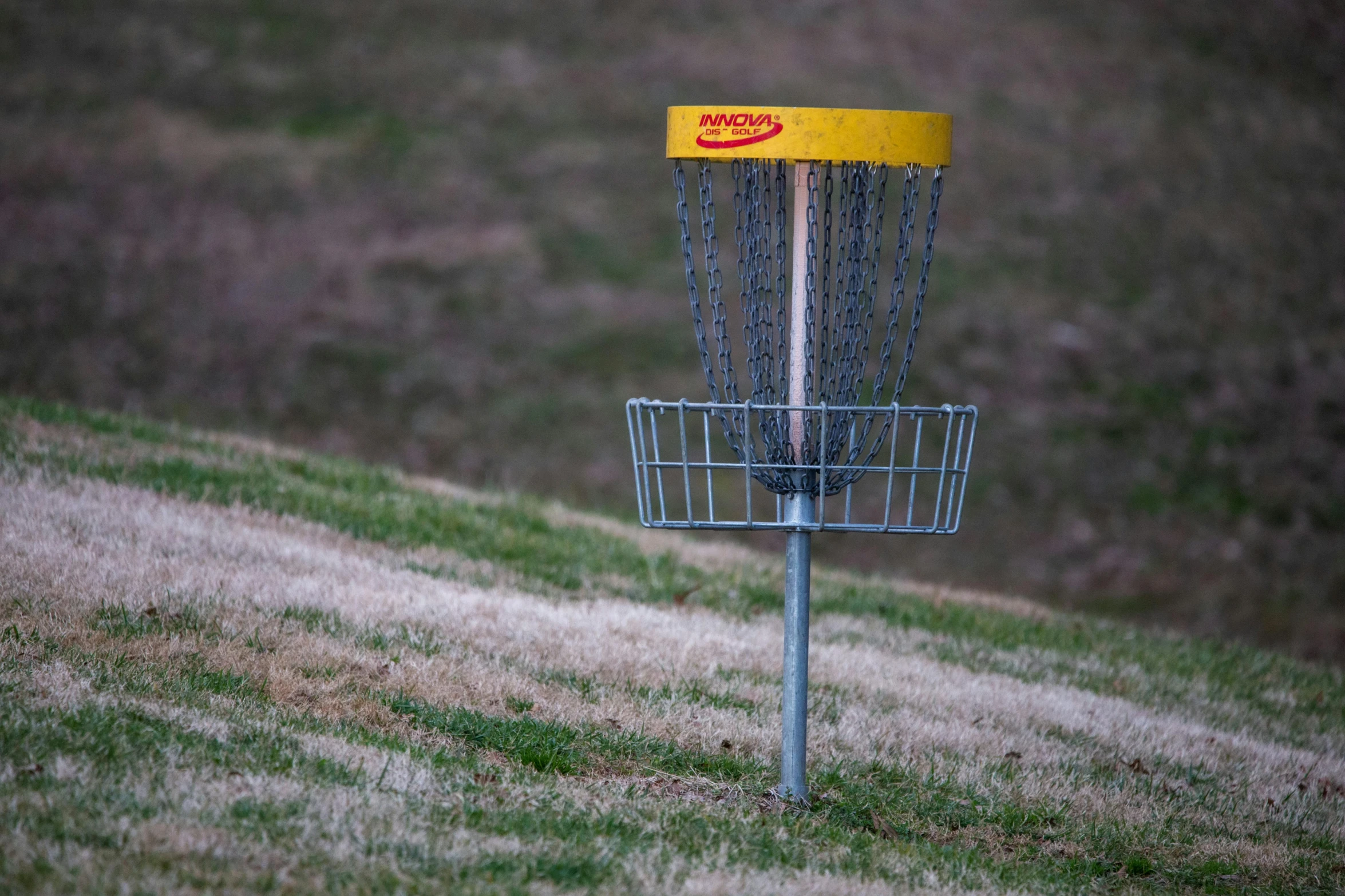 a frisbee golf basket on the green grass