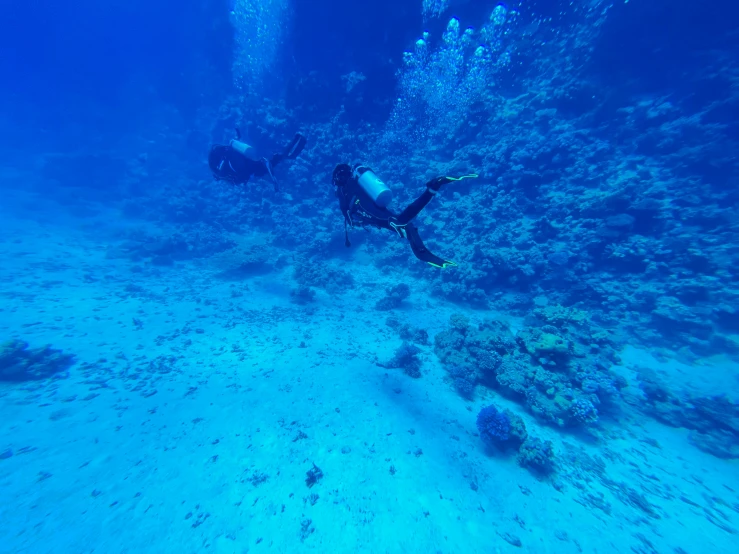 two people are submerged in clear water, swimming under the ocean