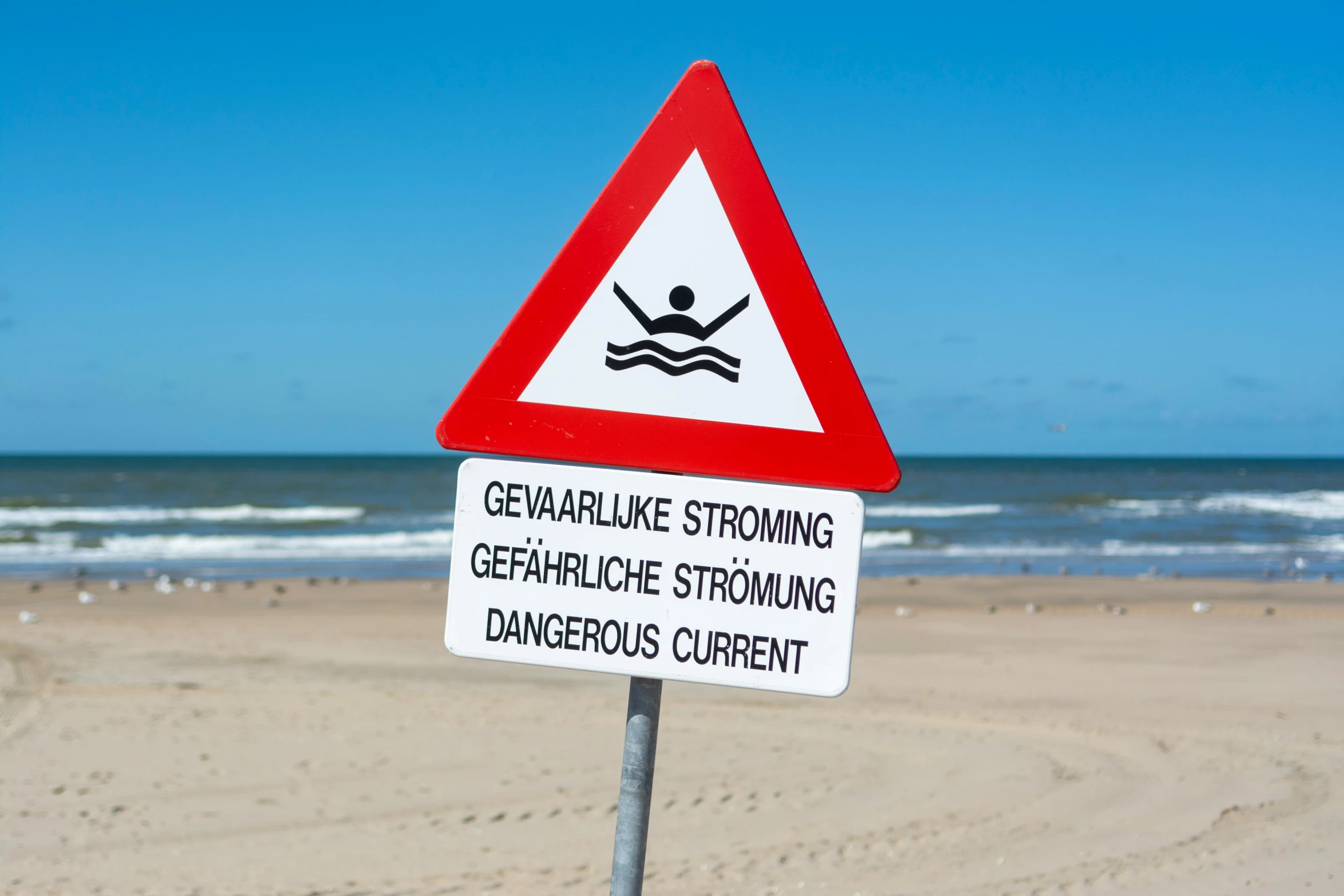 a white sign on top of a metal pole near the ocean