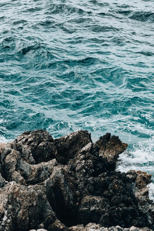 an animal standing on a rocky ledge next to the ocean