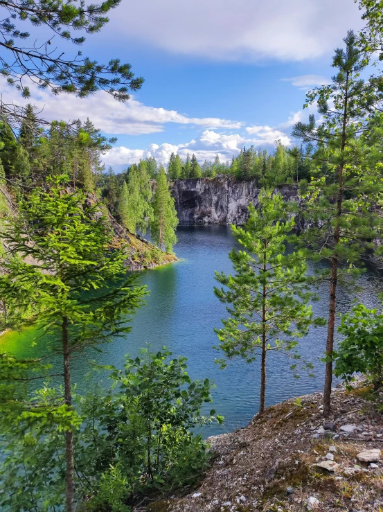 trees line the edge of a river