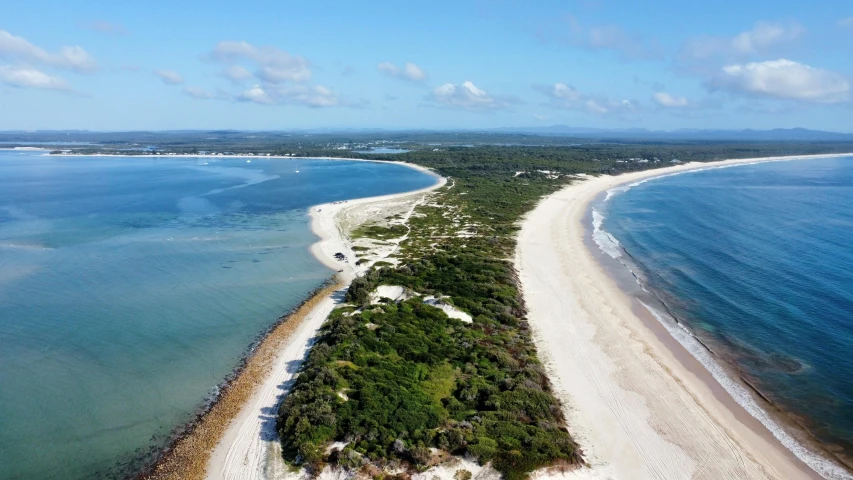 a beach next to the ocean next to a tropical forest