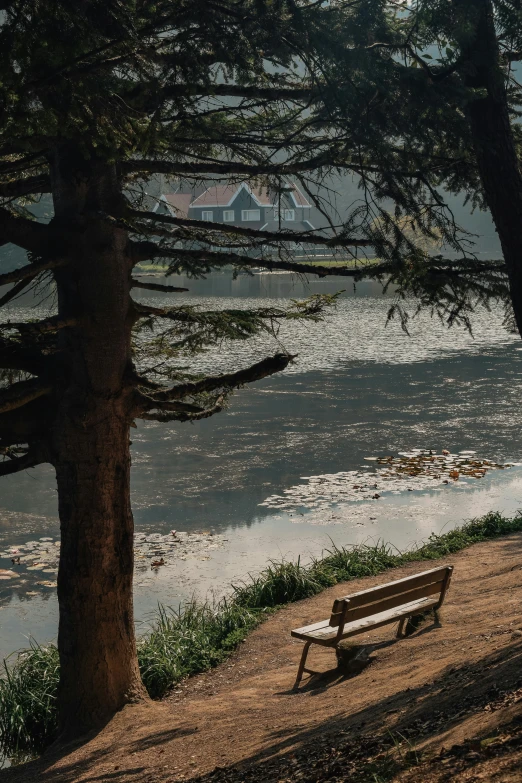 a bench with the sea and trees around