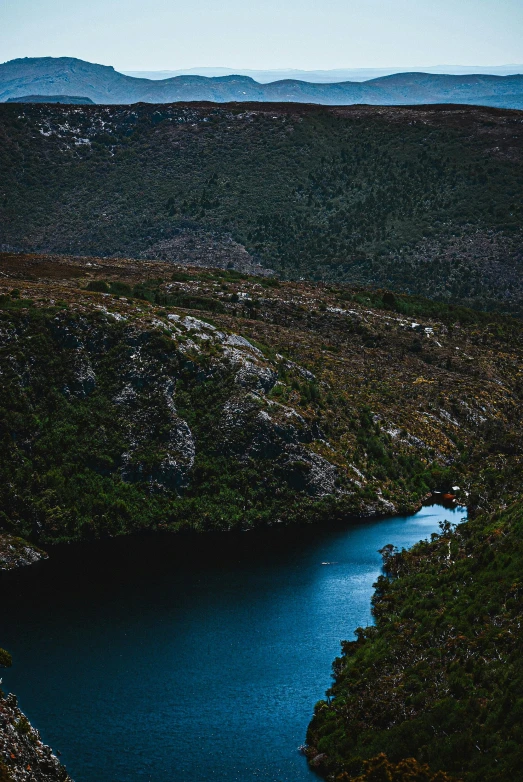 a river flowing through a lush green field