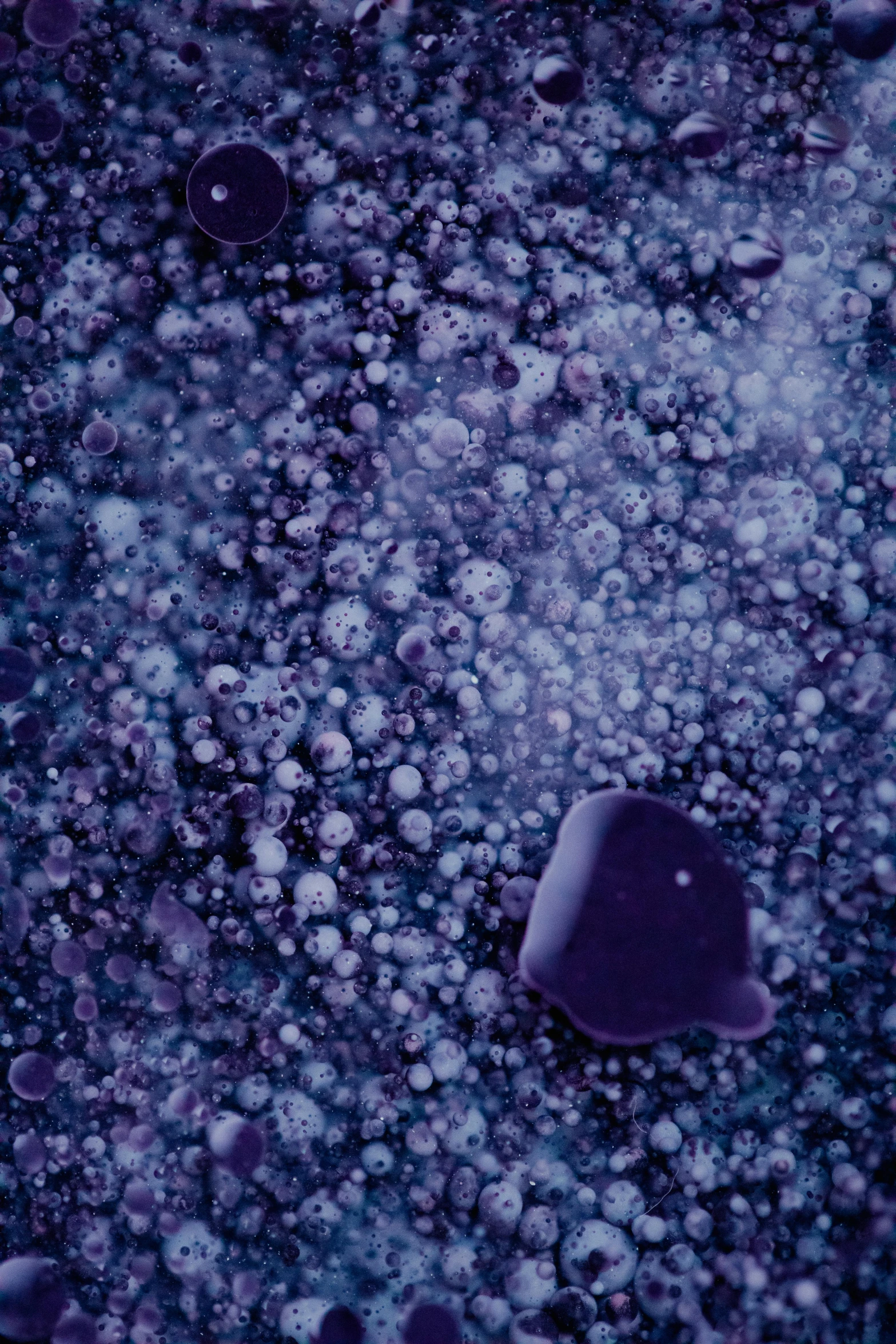 small black and white droplets next to purple bubbles