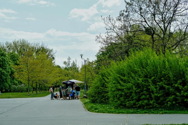 a group of people standing next to green trees