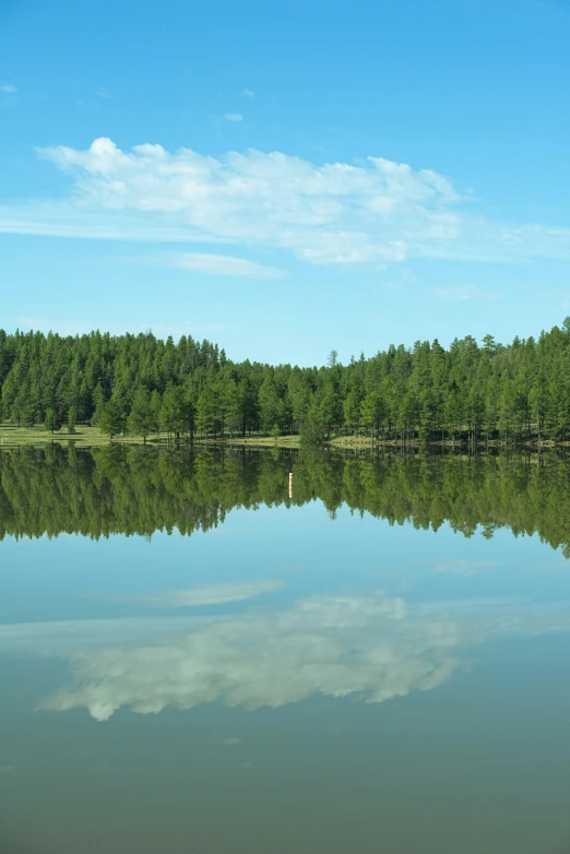 a tree filled lake near a field and woods