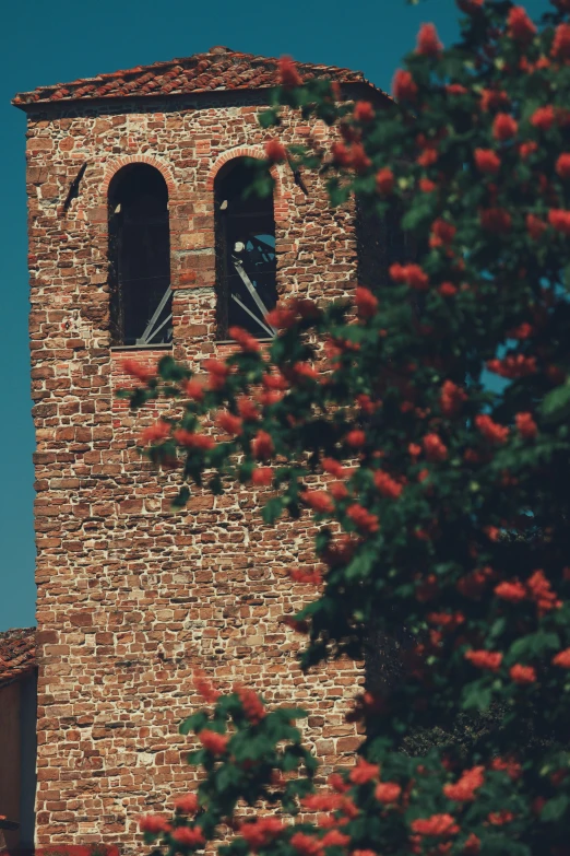 the view from under a tree looking up at a tower with two bells