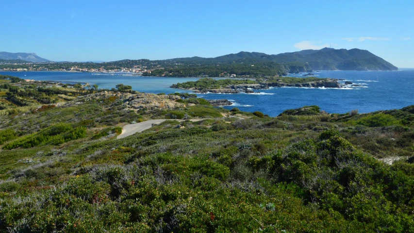 a scenic s of a blue sea surrounded by greenery