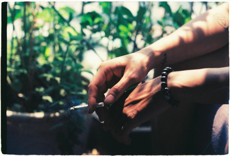 someone's hand reaching into their cigarette with a plant in the background