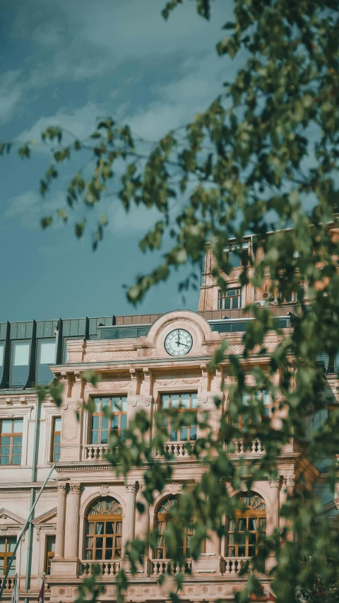 the clock tower is behind the tree nch