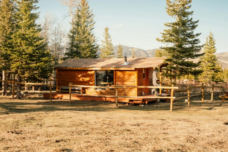 a wood cabin sitting in a forest on a clear day