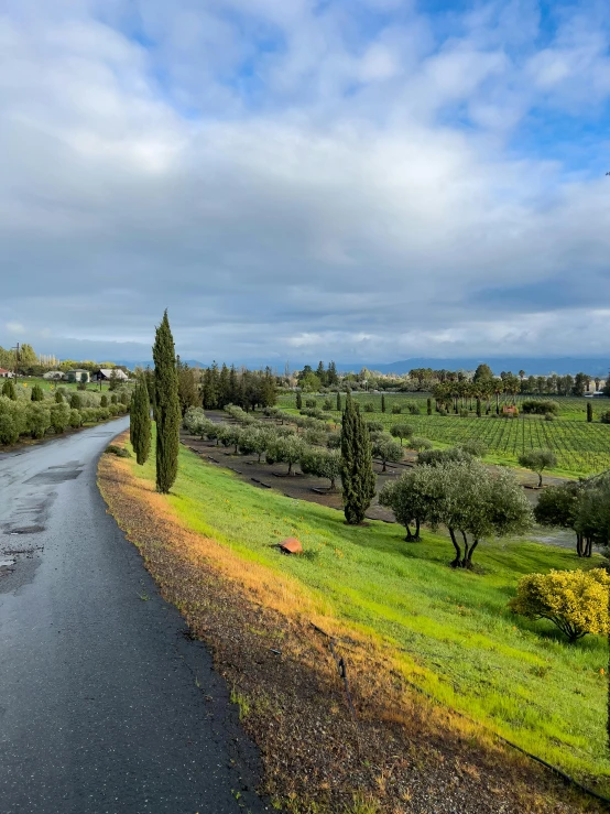 a highway runs down to the green land