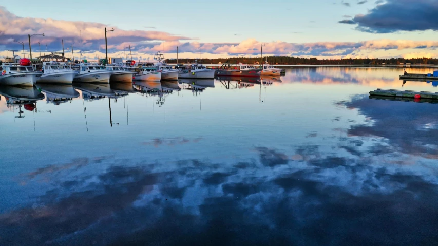 boats moored at docks in the middle of the day