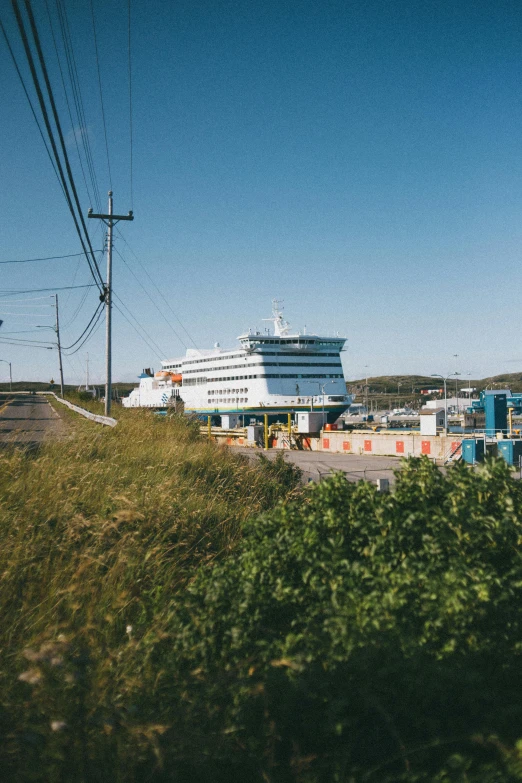 a large cruise ship is in the distance along with tall green grass and trees