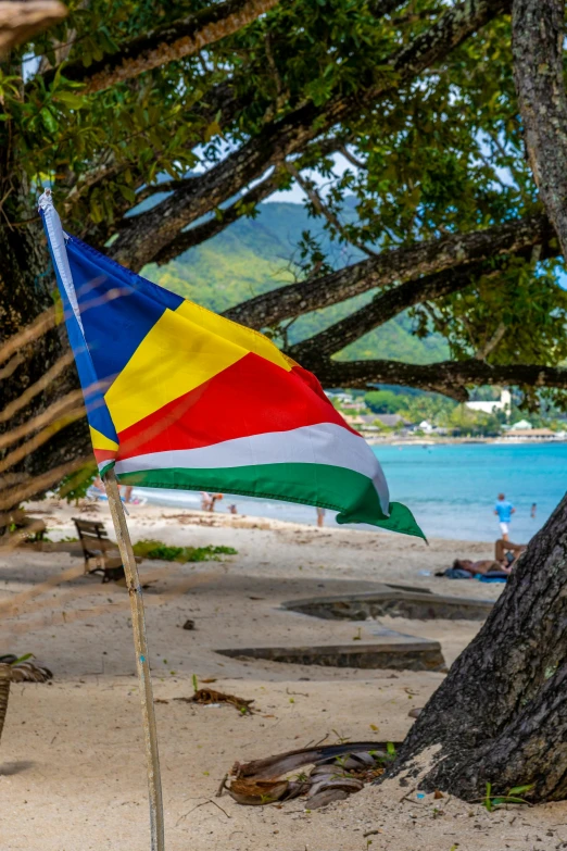 a colorful flag blowing in the wind on the beach