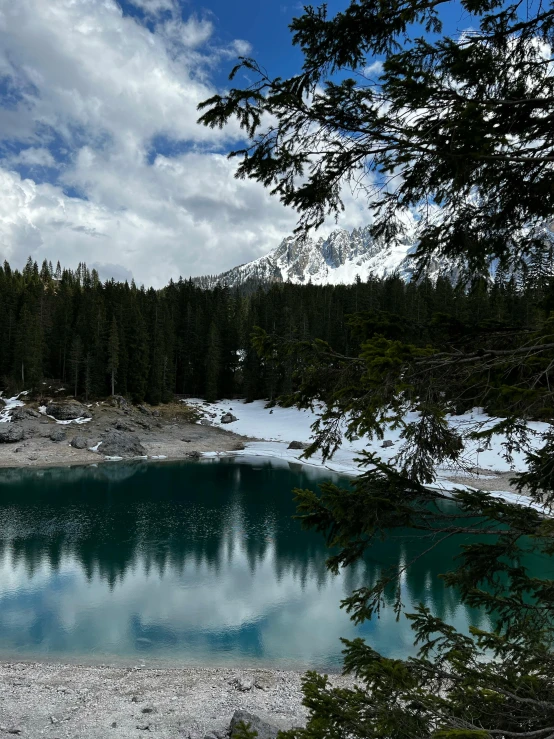 a view of a lake from around the woods