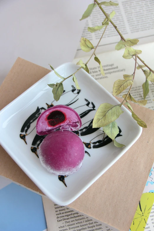 two desserts on a white plate with leaves on a table