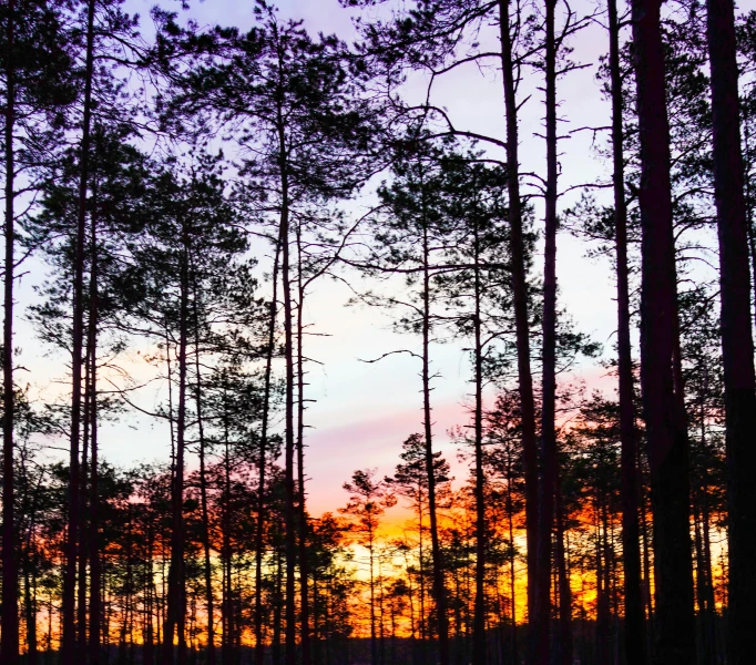 a sunset shines in the sky over some trees