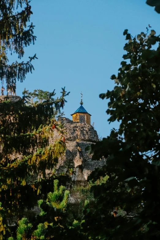 a castle tower in the middle of some pine trees